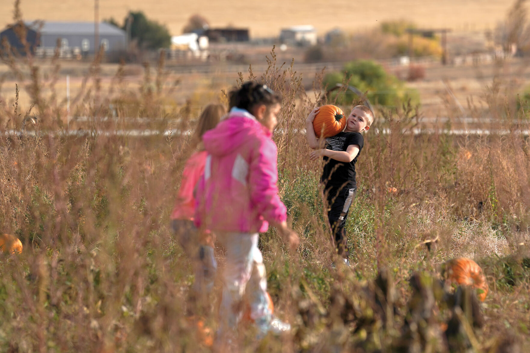 Pumpkin Patch Standalones 004.jpg